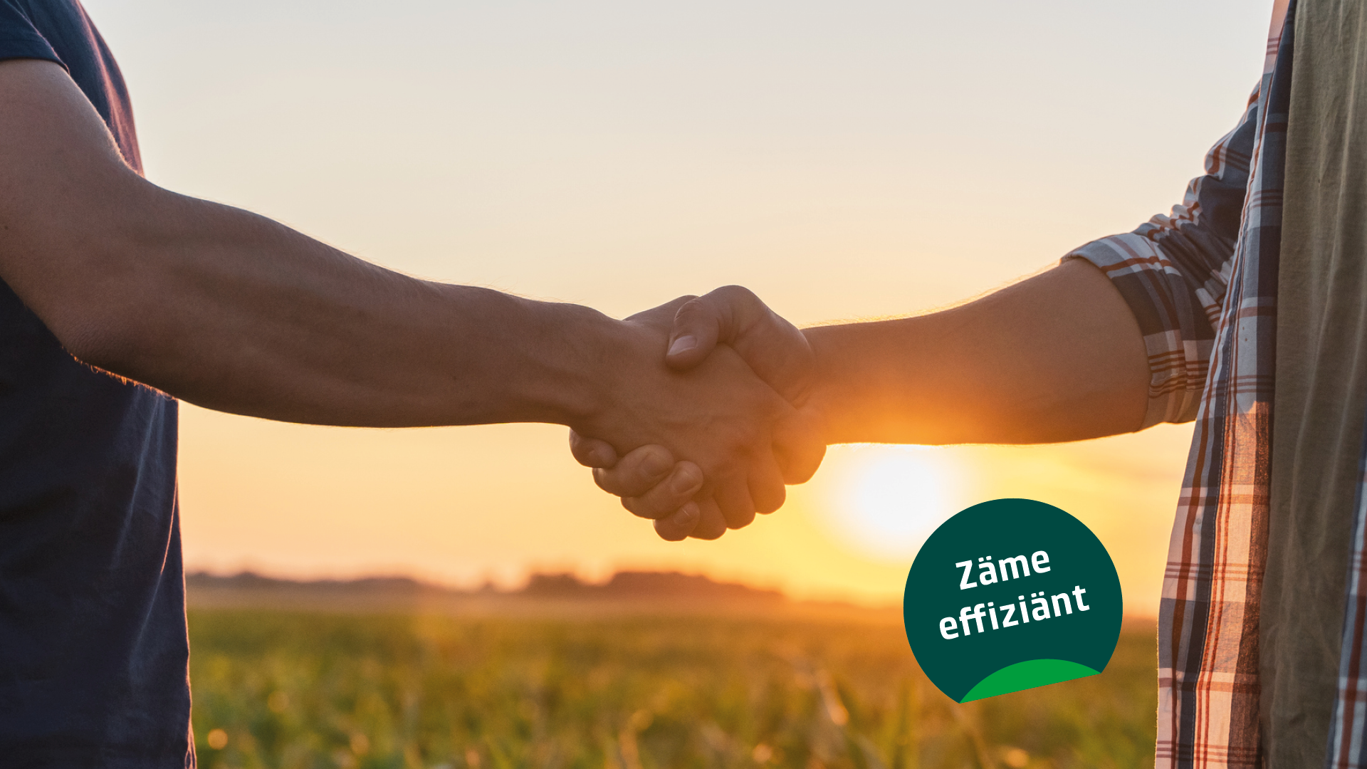 Händedruck vor Naturlandschaft mit Slogan "zäme effiziänt"
